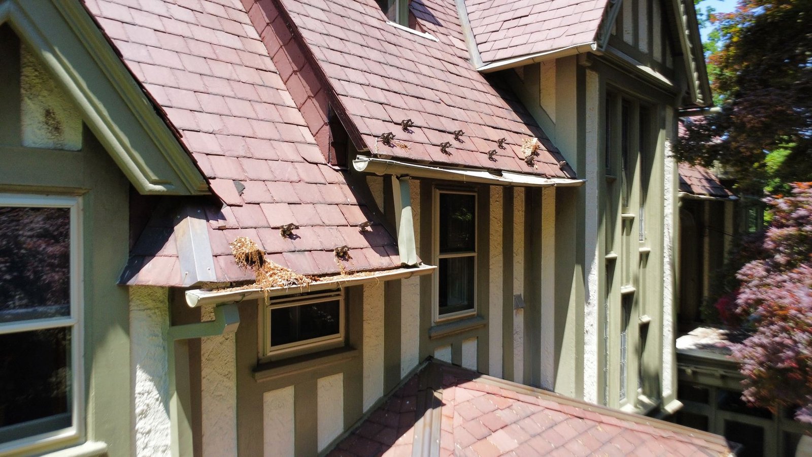 Before — front dormers with old clogged aluminum gutters full of debris and nests, PA