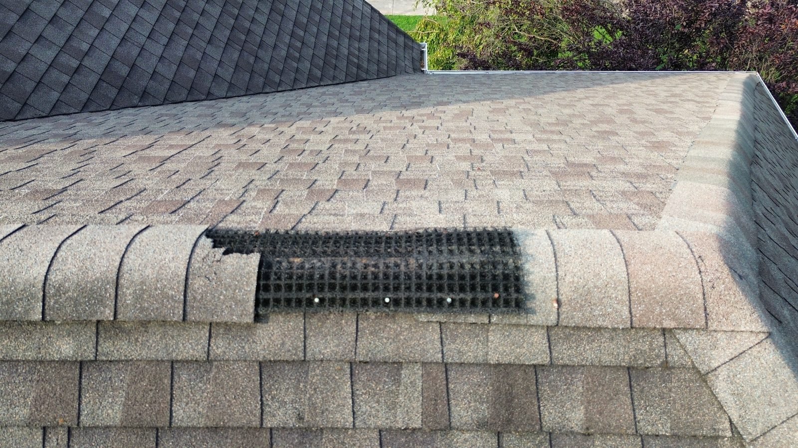 Before — close-up of the original brown shingle roof with ridge cap shingles missing and the ridge vent exposed, Plymouth Meeting PA