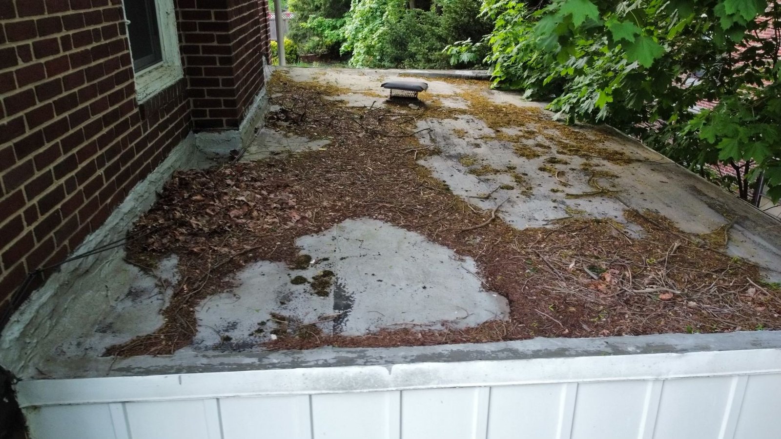 Before — failed flat roof with debris, moss and standing water damage, PA